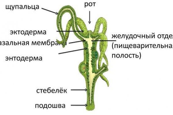 Можно ли вывести деньги с кракена