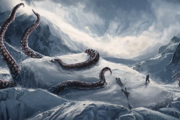 Kraken platform