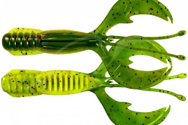 Kraken 12