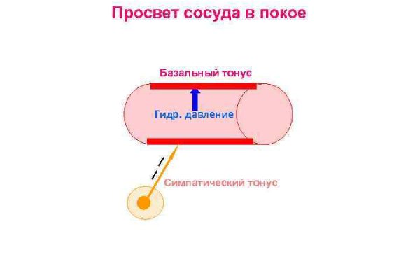 Зарегистрироваться на сайте кракен